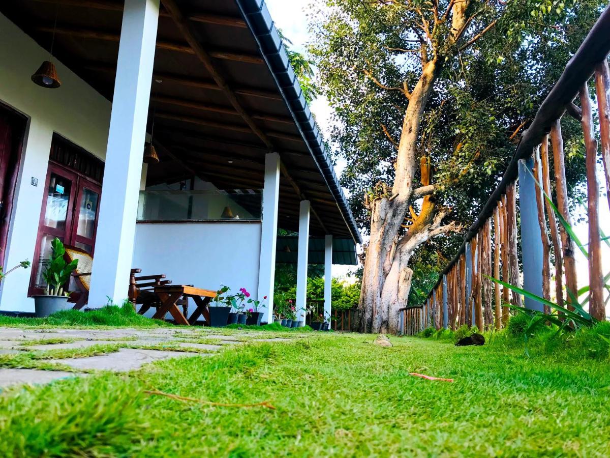 Rainbow Sky Cottage Ella Esterno foto