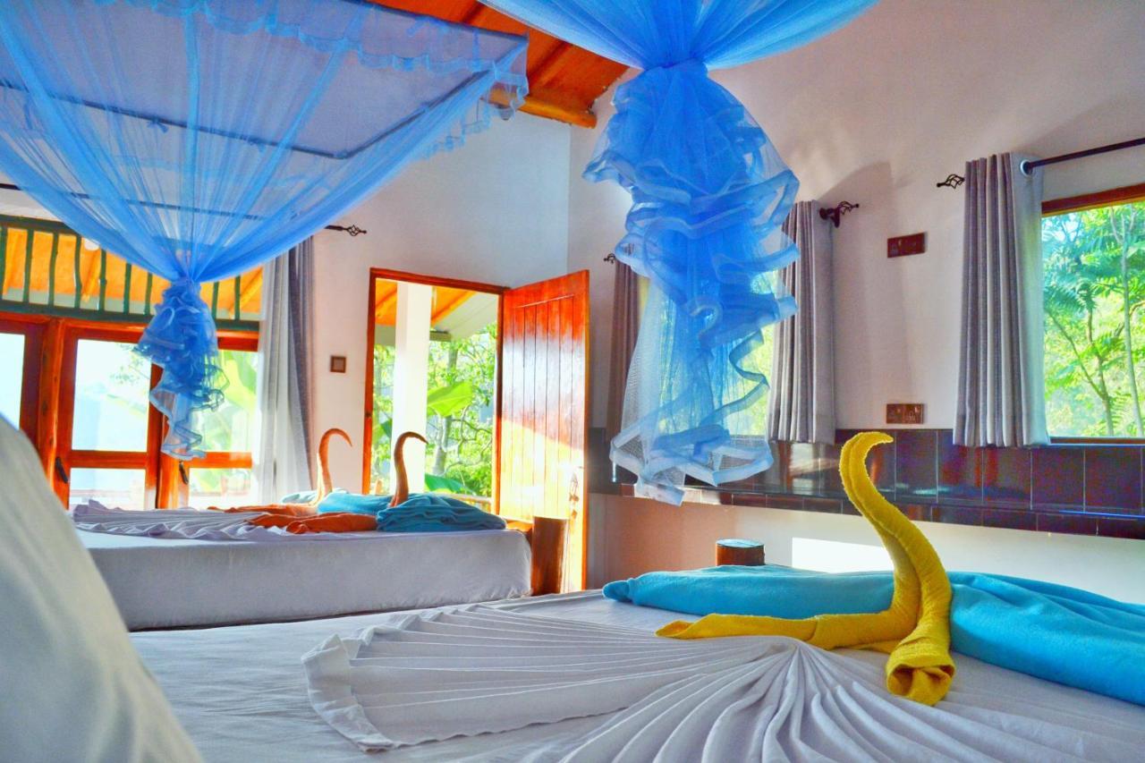 Rainbow Sky Cottage Ella Esterno foto