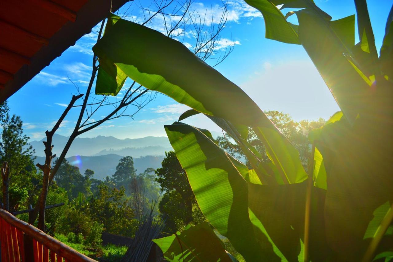 Rainbow Sky Cottage Ella Esterno foto